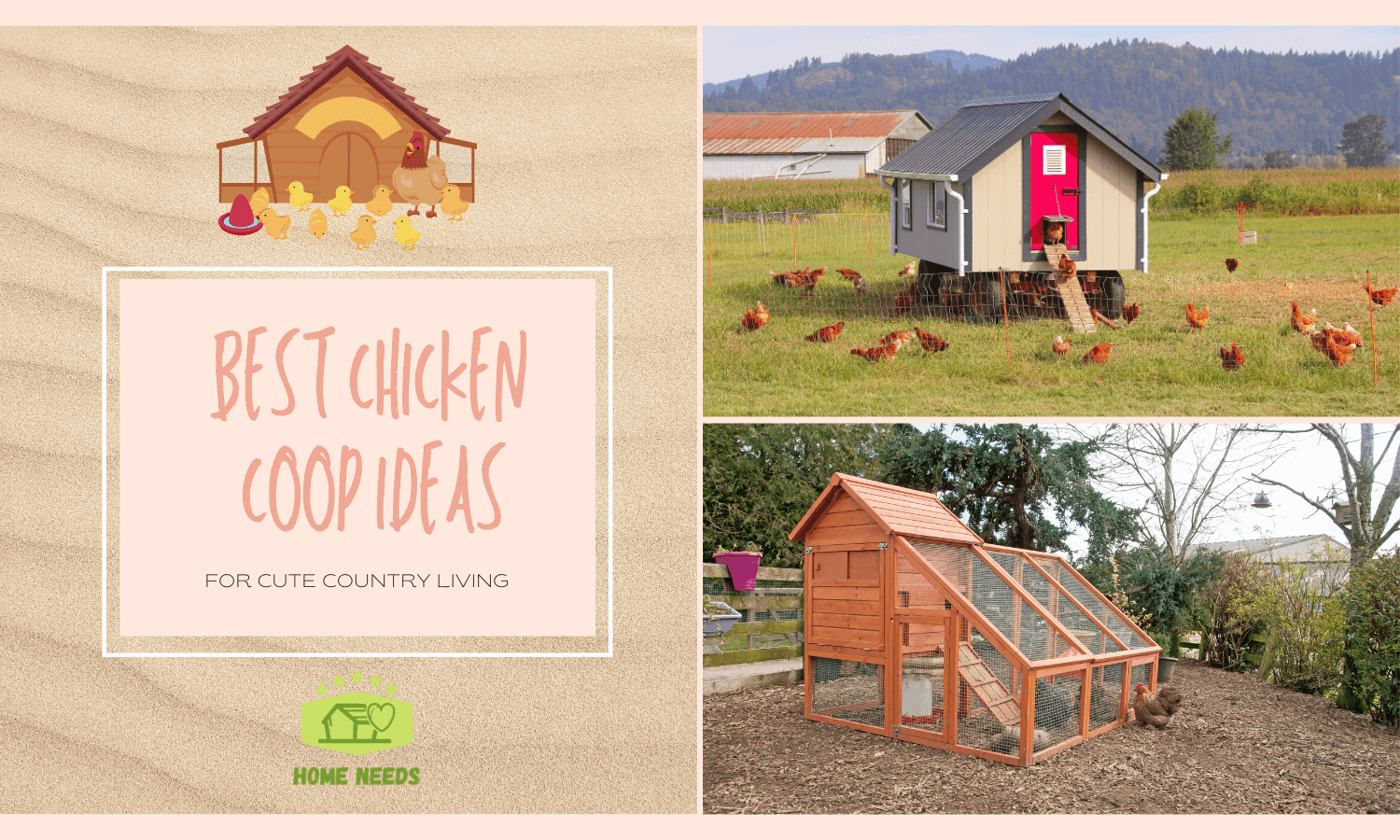 Best Chicken Coop Ideas