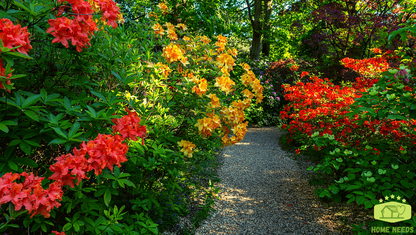 Flowering Garden Path