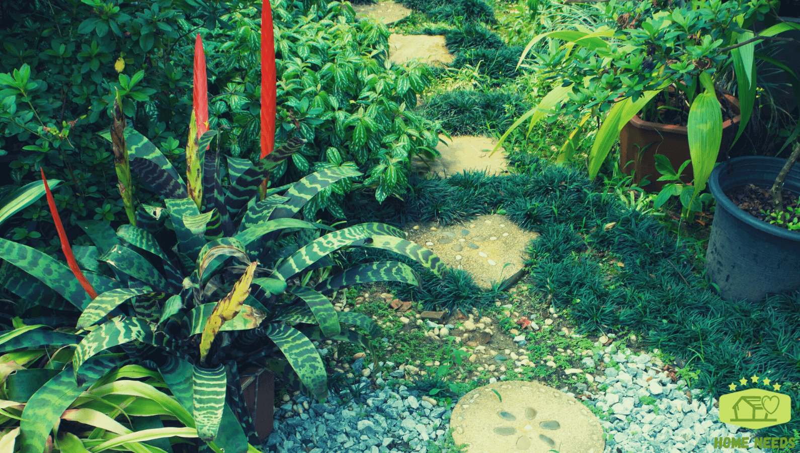 Rock garden with Walkway and Flower Bed